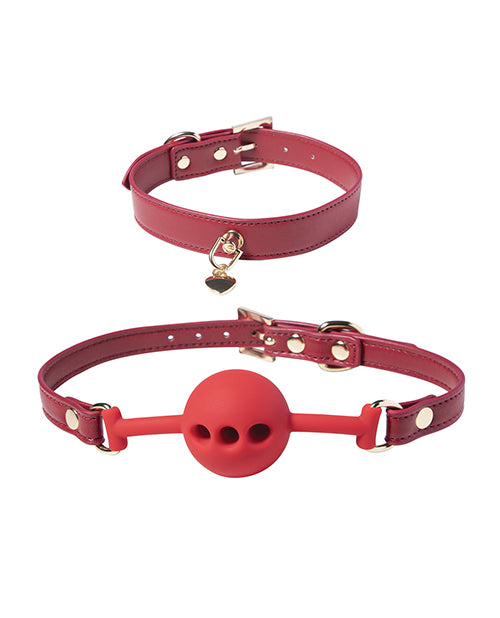 Crimson Red Club Mainstay Set 8 pc Bondage Kit - Red