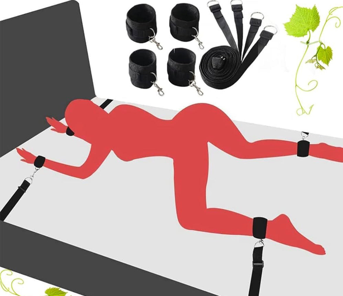 Under The Bed Restraint System