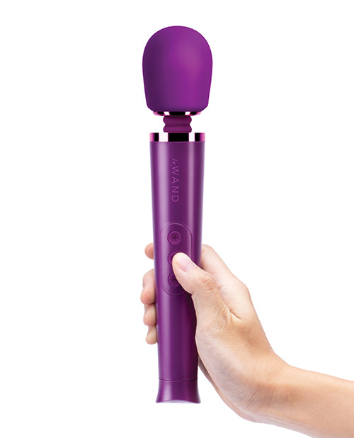 Le Wand Petite Rechargeable Massager